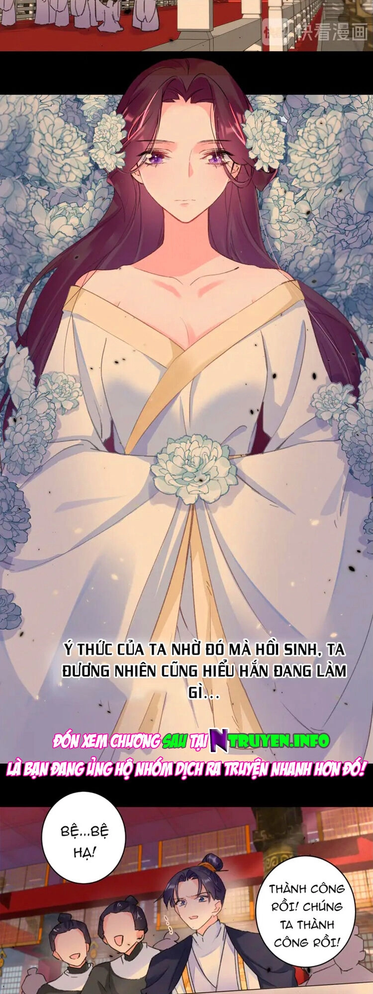 Hoa Nhan Sách Chapter 215 - 7