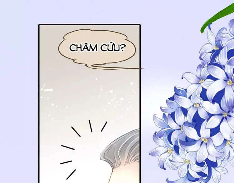 Siêu Sao Trứ Danh Chapter 64 - 36