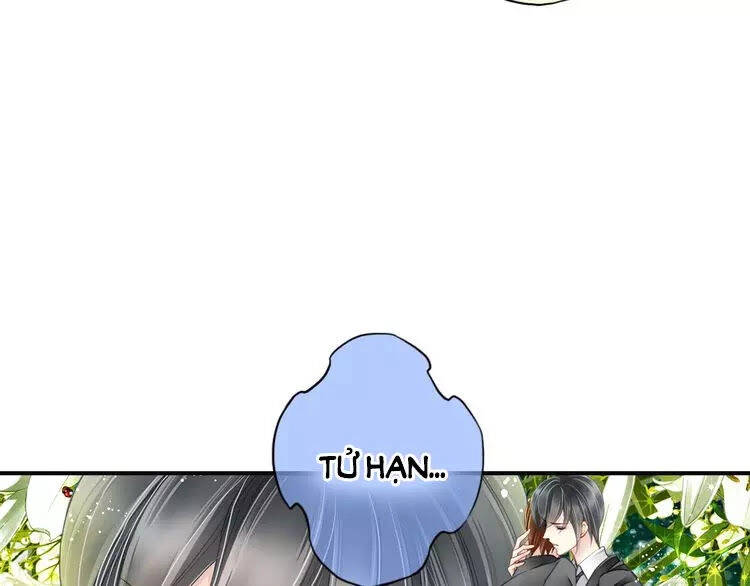 Siêu Sao Trứ Danh Chapter 65 - 33