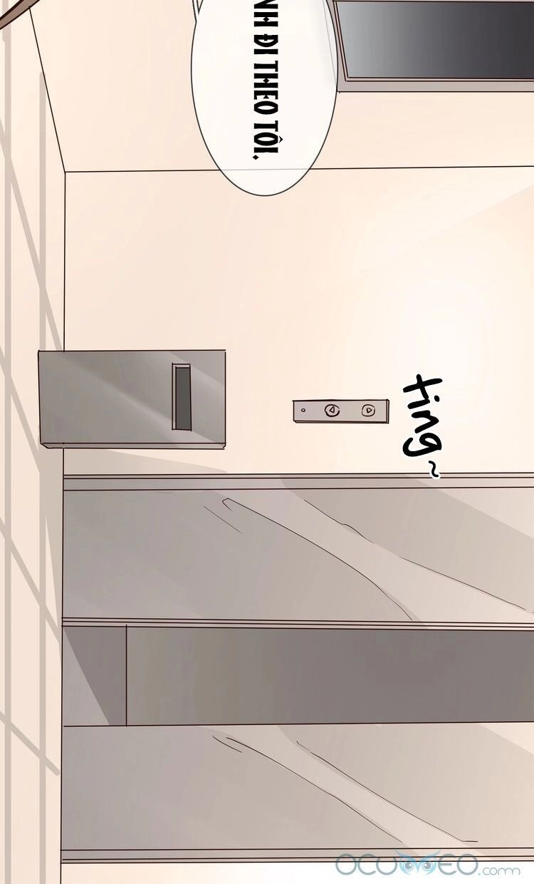 Ngôi Sao Vụn Vỡ Chapter 18 - 42