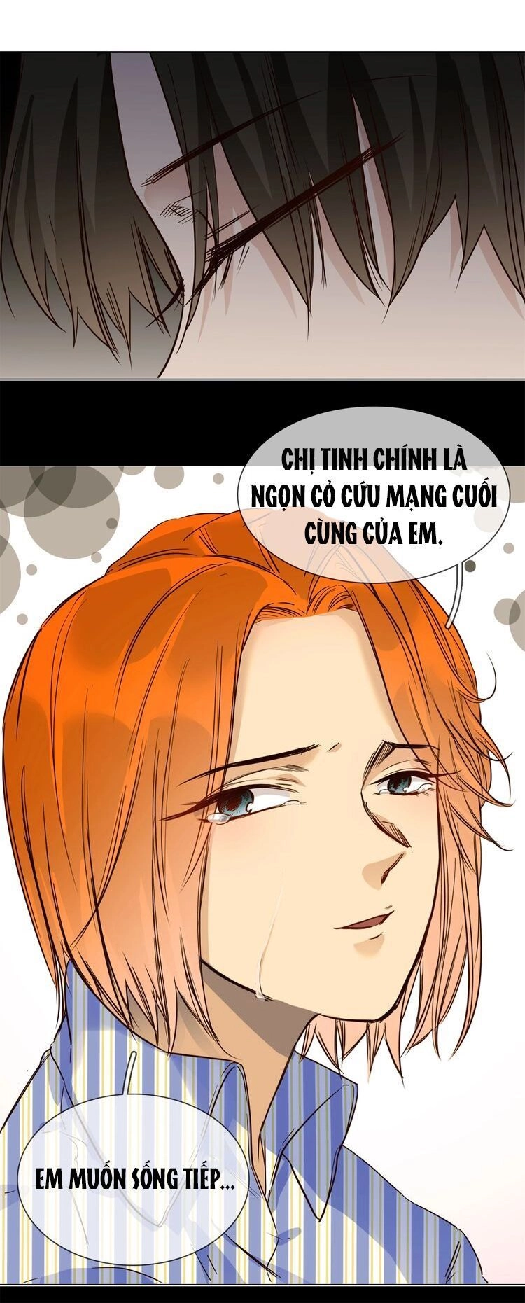Ngôi Sao Vụn Vỡ Chapter 22 - 41