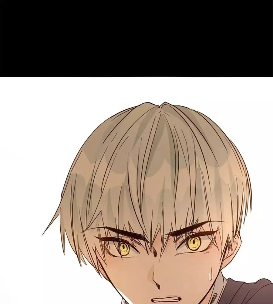 Ngôi Sao Vụn Vỡ Chapter 27 - 72