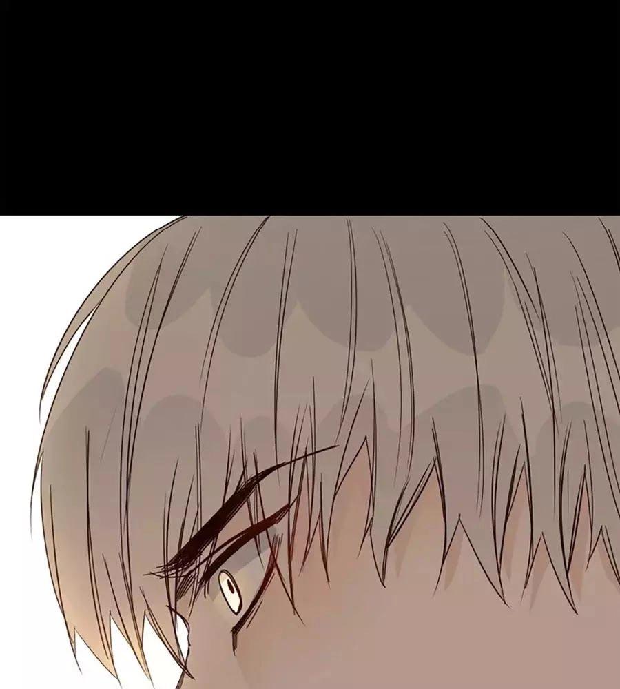 Ngôi Sao Vụn Vỡ Chapter 27 - 82