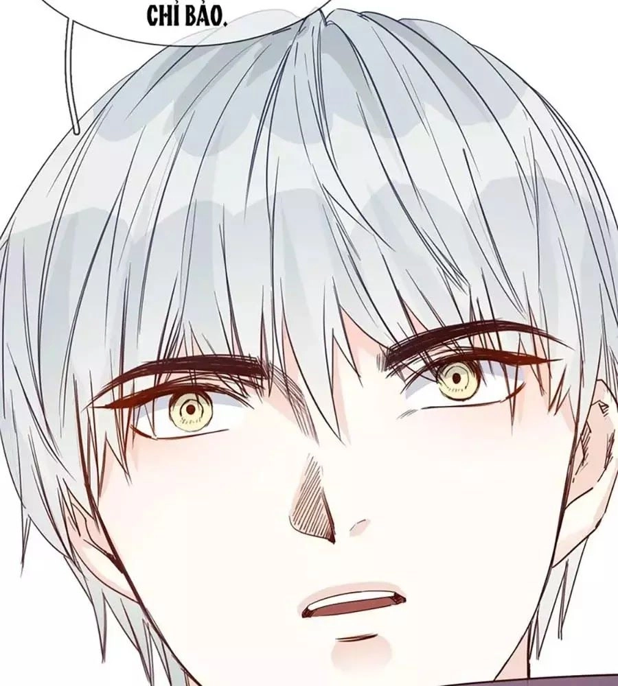 Ngôi Sao Vụn Vỡ Chapter 28 - 32