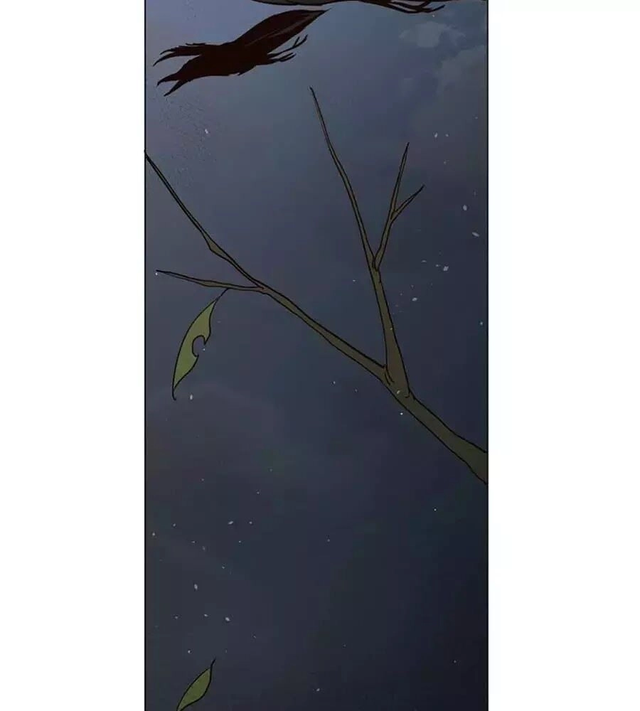 Ngôi Sao Vụn Vỡ Chapter 28.5 - 4