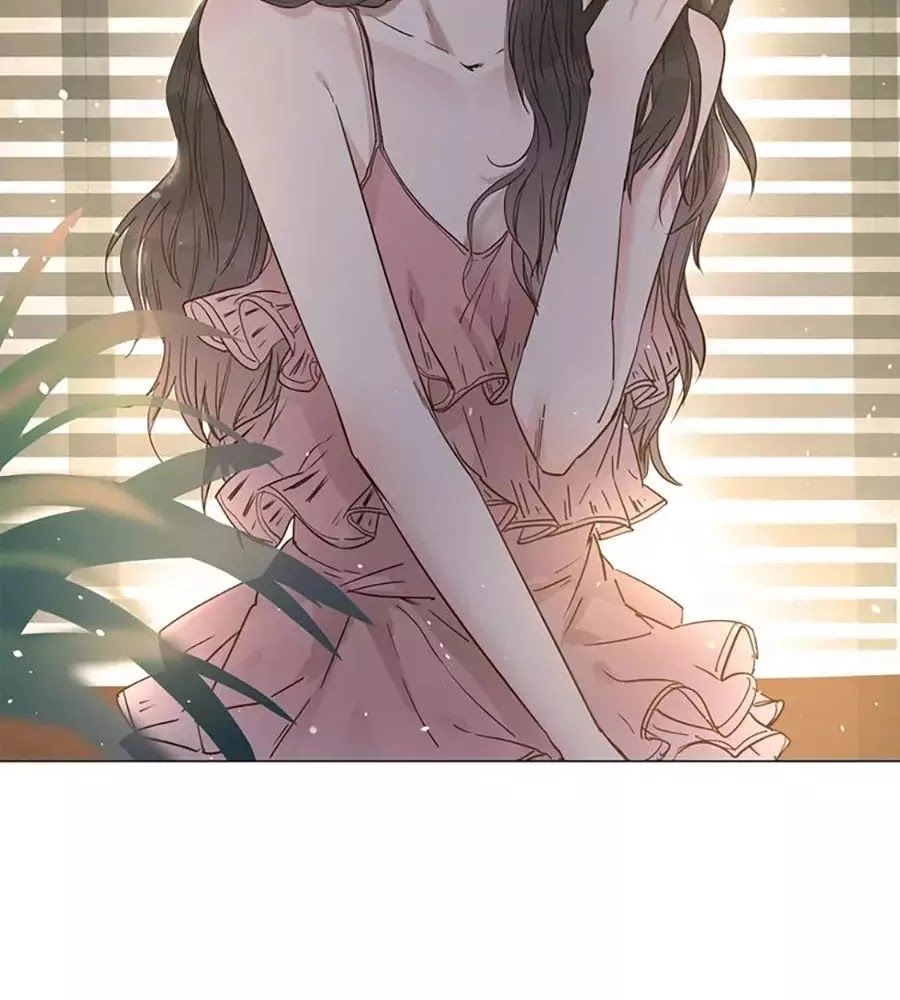 Ngôi Sao Vụn Vỡ Chapter 30 - 42