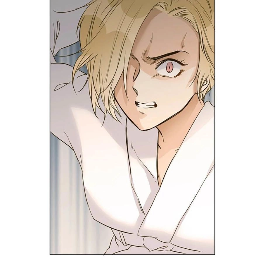 Ngôi Sao Vụn Vỡ Chapter 31 - 37