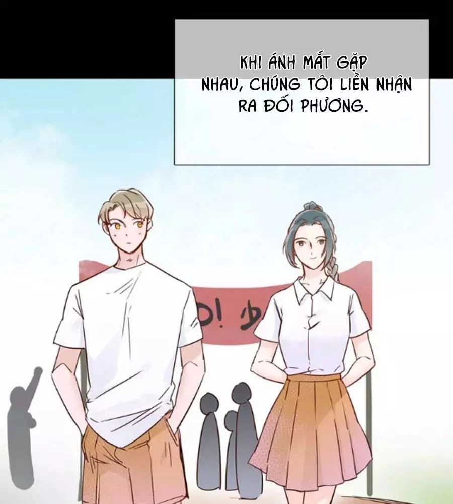 Ngôi Sao Vụn Vỡ Chapter 40 - 10