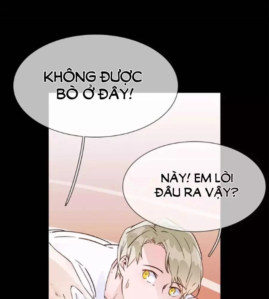 Ngôi Sao Vụn Vỡ Chapter 40 - 32