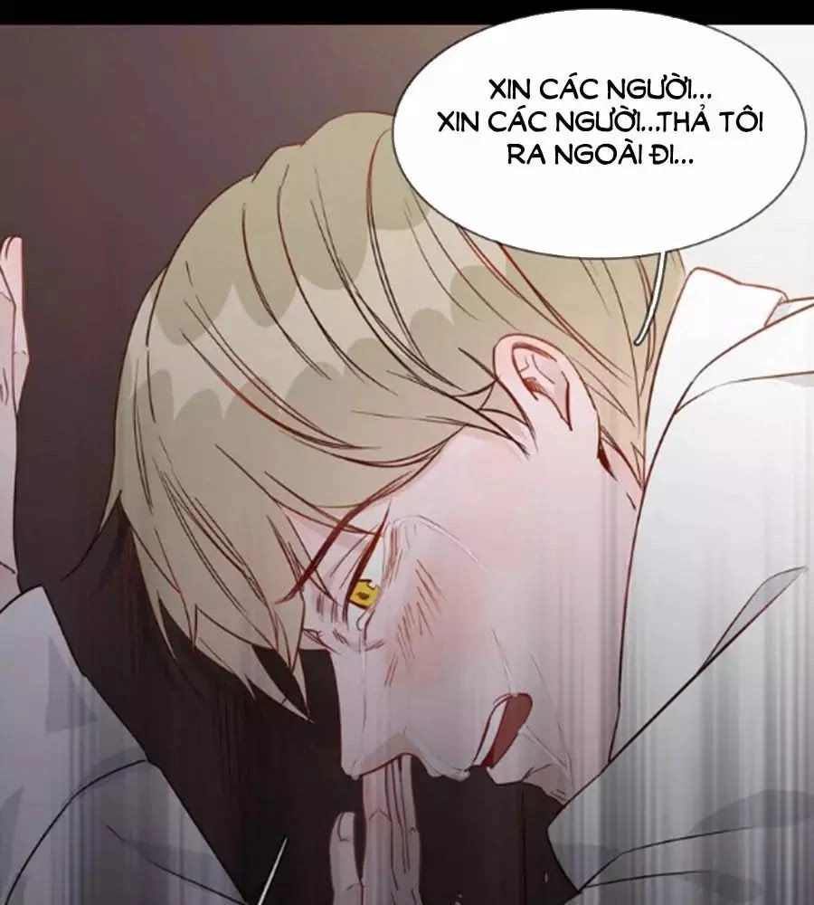 Ngôi Sao Vụn Vỡ Chapter 40 - 86