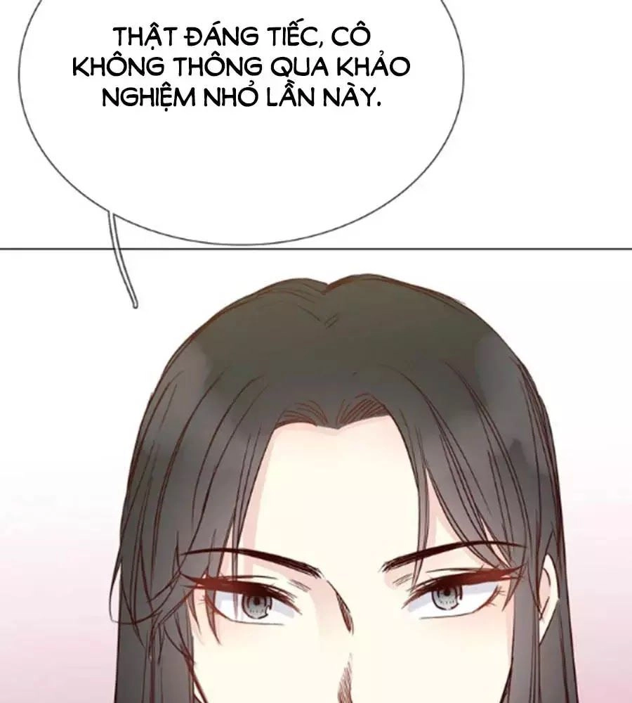 Ngôi Sao Vụn Vỡ Chapter 40 - 116