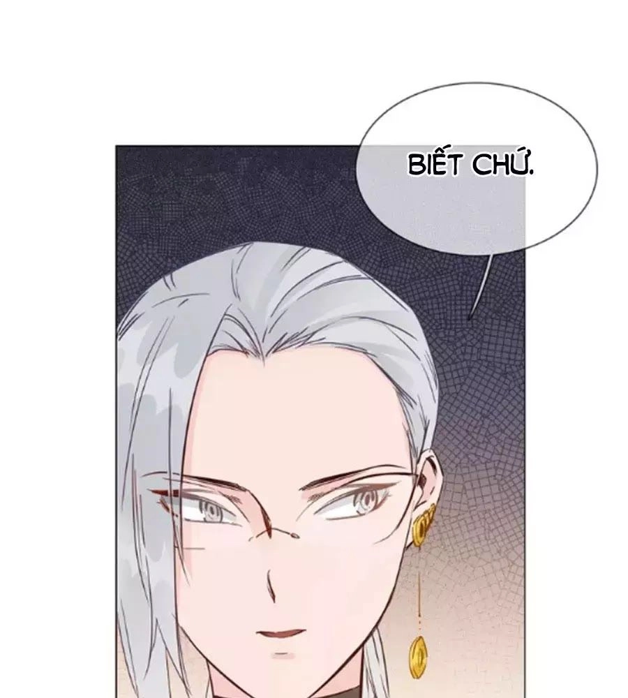 Ngôi Sao Vụn Vỡ Chapter 42 - 14