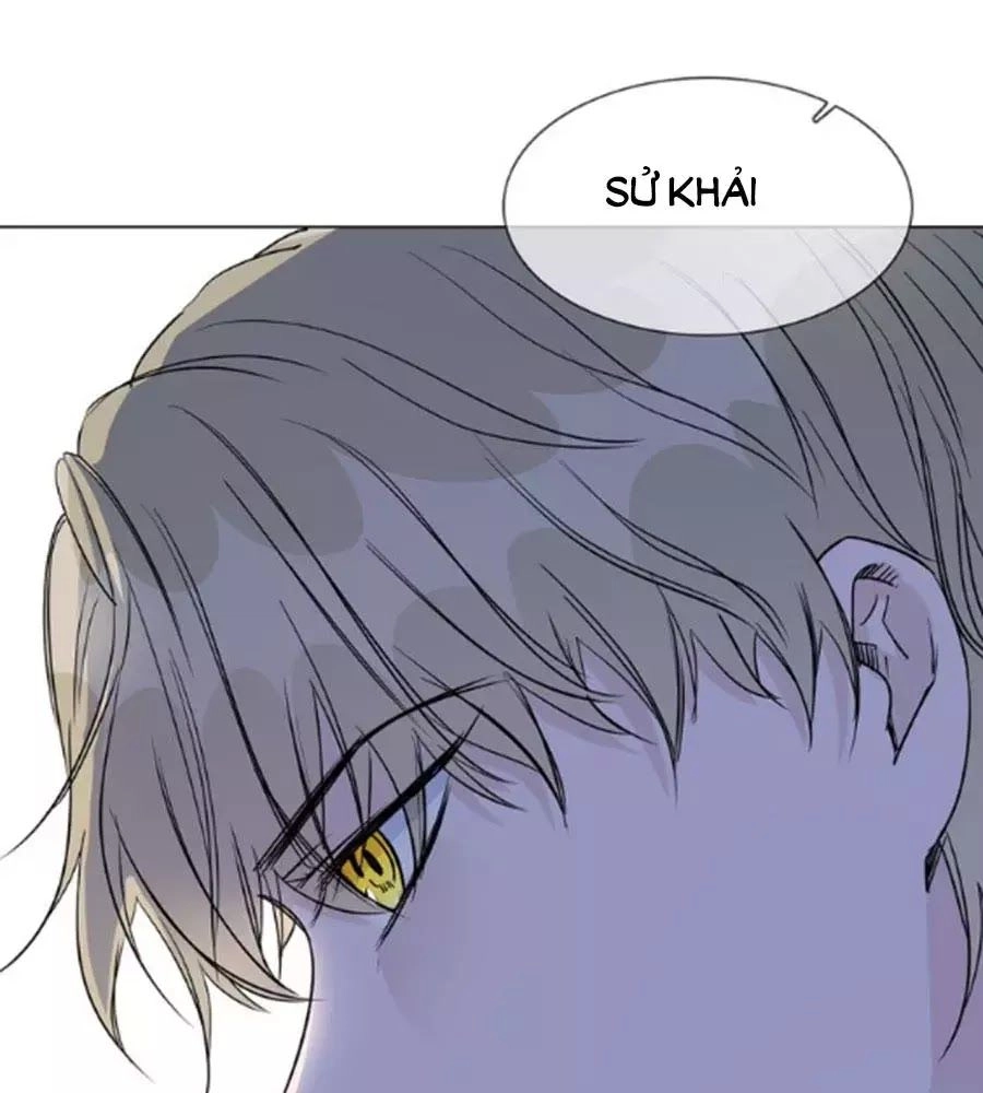 Ngôi Sao Vụn Vỡ Chapter 43 - 95