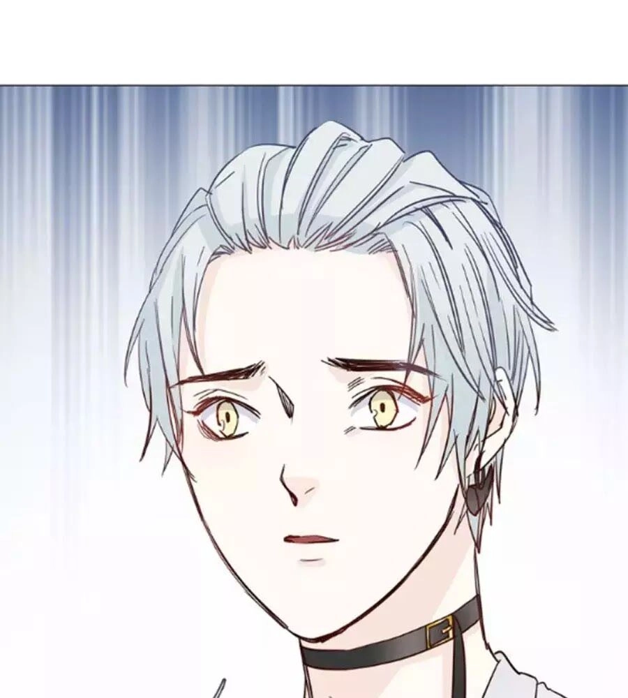 Ngôi Sao Vụn Vỡ Chapter 44 - 16