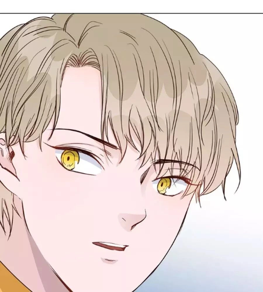 Ngôi Sao Vụn Vỡ Chapter 44 - 98