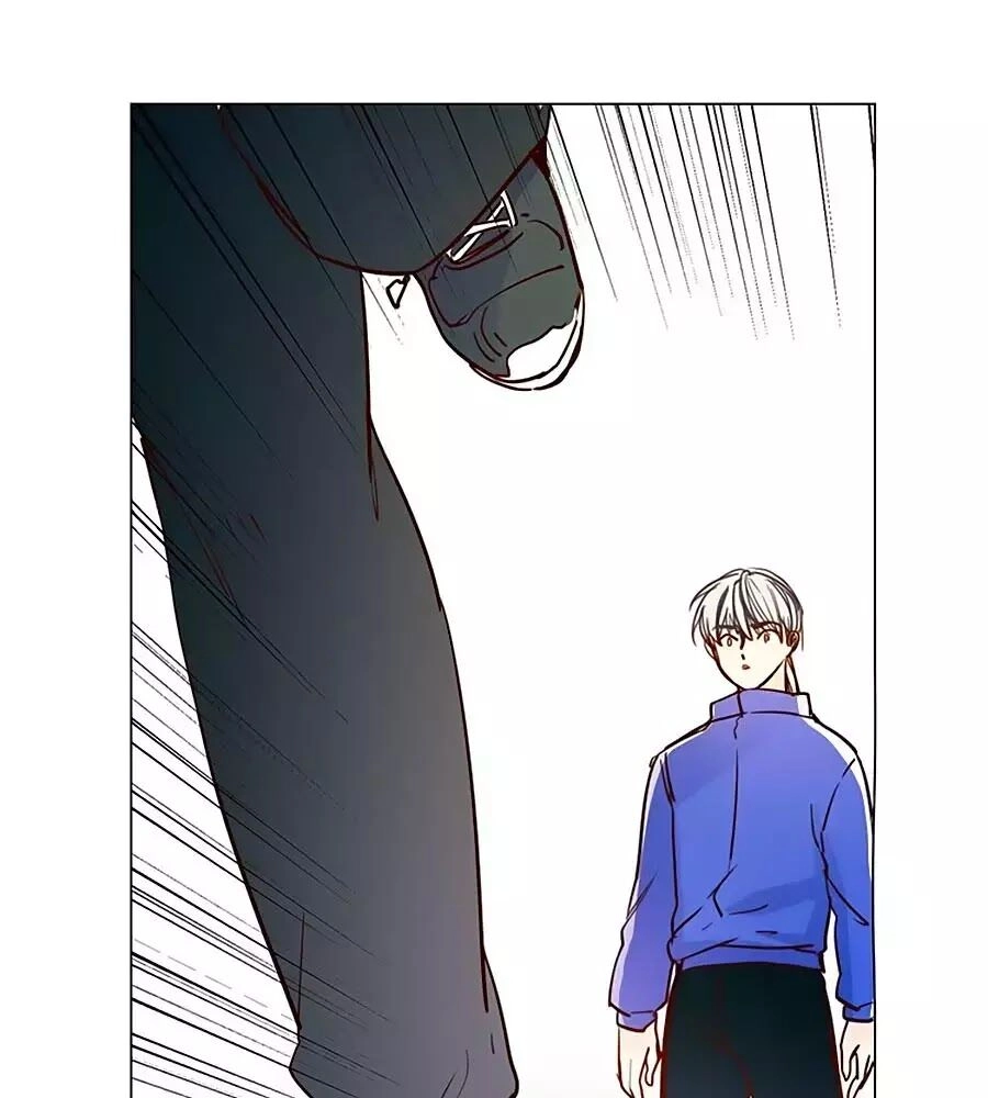 Ngôi Sao Vụn Vỡ Chapter 48 - 29