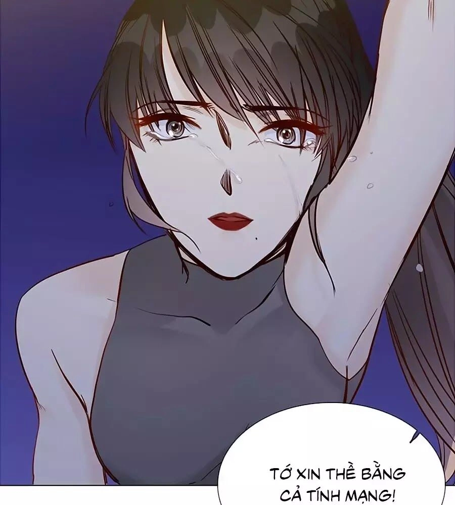 Ngôi Sao Vụn Vỡ Chapter 48 - 40