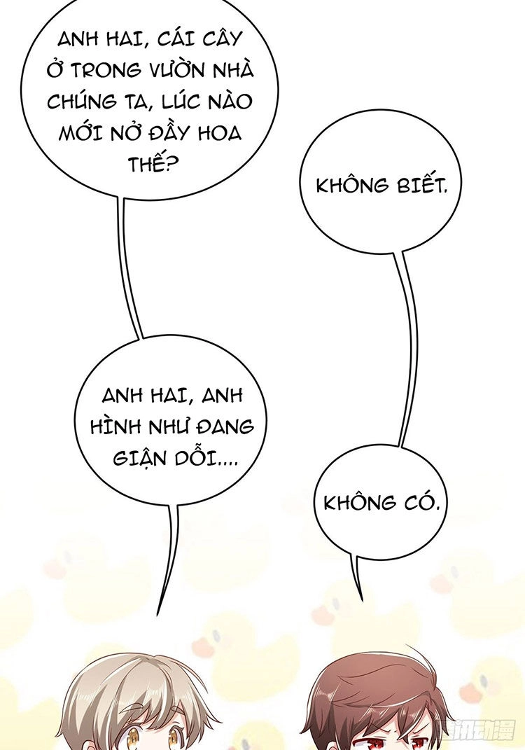 Trang Điểm Lộng Lẫy Để Gả Cho Anh Chapter 21 - 26