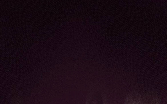 Bastian Chapter 36.2 - 43