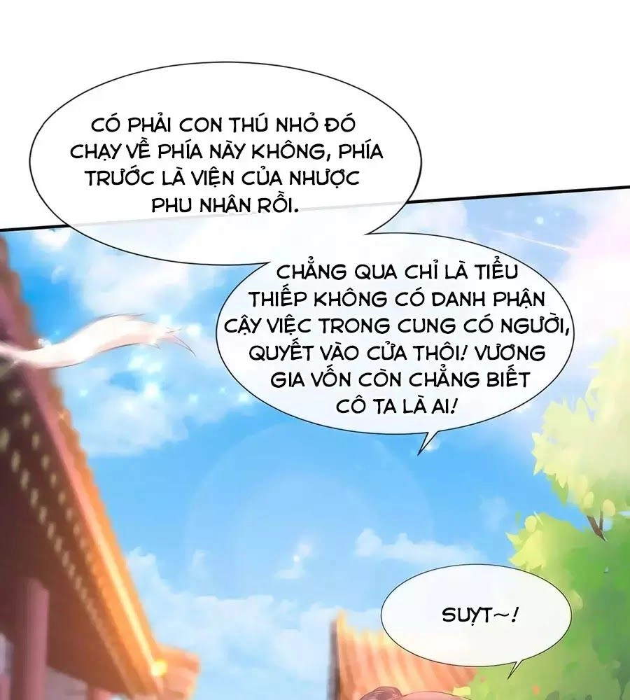 Dưỡng Thú Vi Phi Chapter 1 - 72