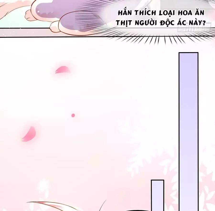 Dưỡng Thú Vi Phi Chapter 2 - 16