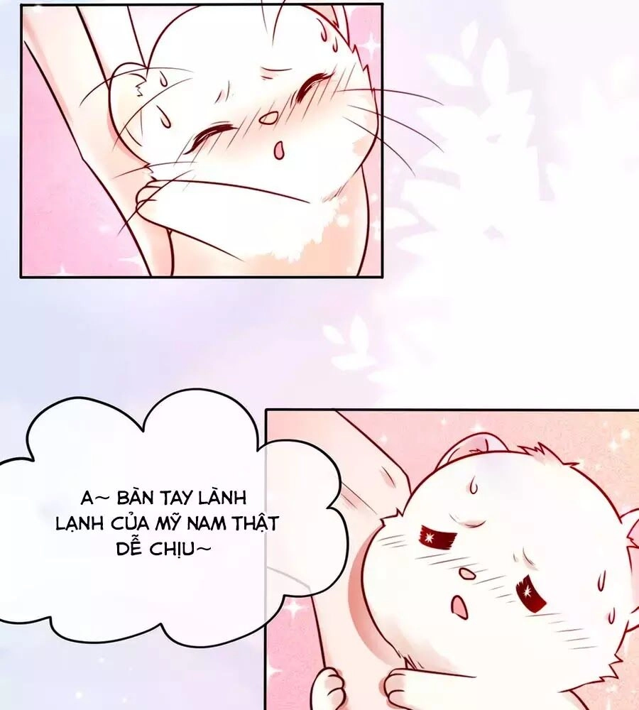 Dưỡng Thú Vi Phi Chapter 2 - 64