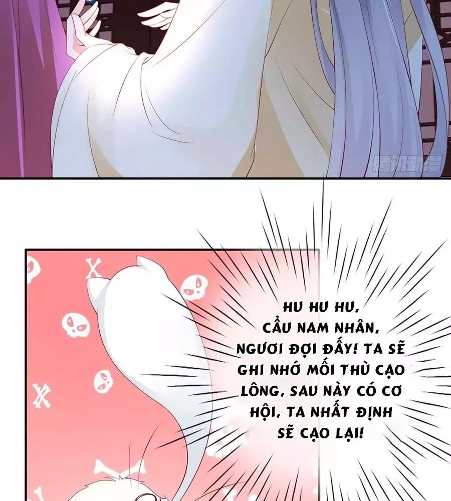 Dưỡng Thú Vi Phi Chapter 3 - 23