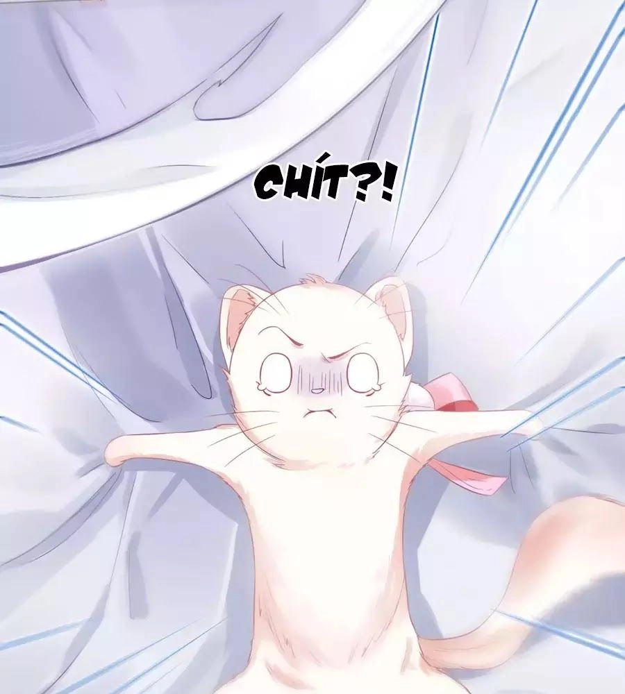 Dưỡng Thú Vi Phi Chapter 4 - 7