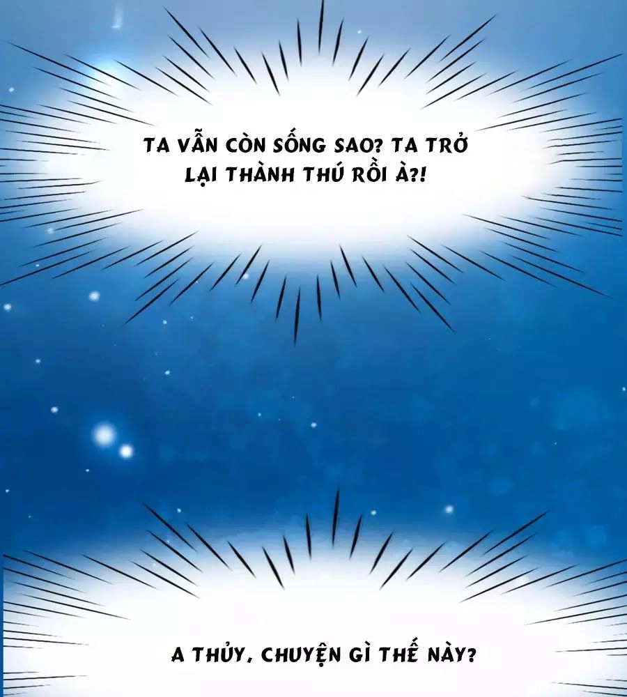 Dưỡng Thú Vi Phi Chapter 4 - 10