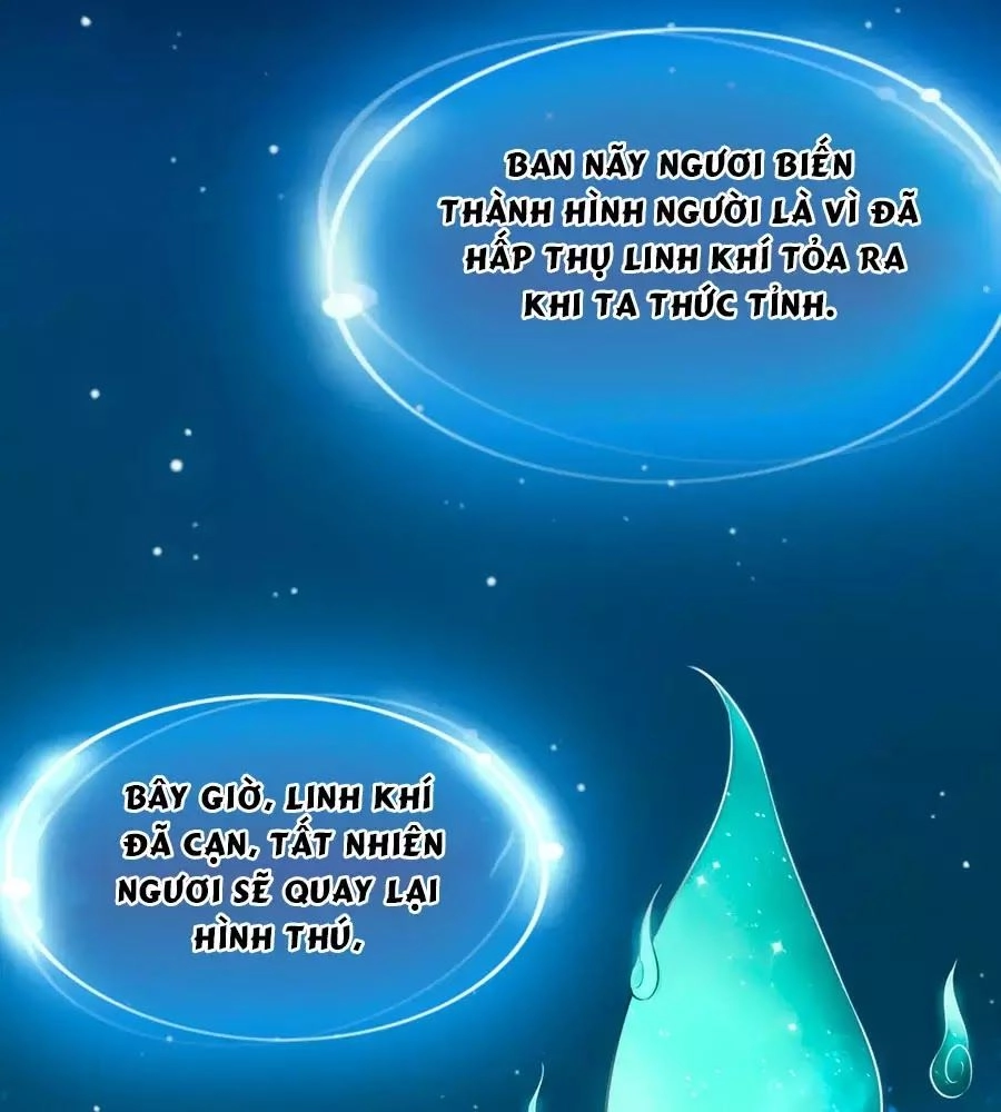 Dưỡng Thú Vi Phi Chapter 4 - 13