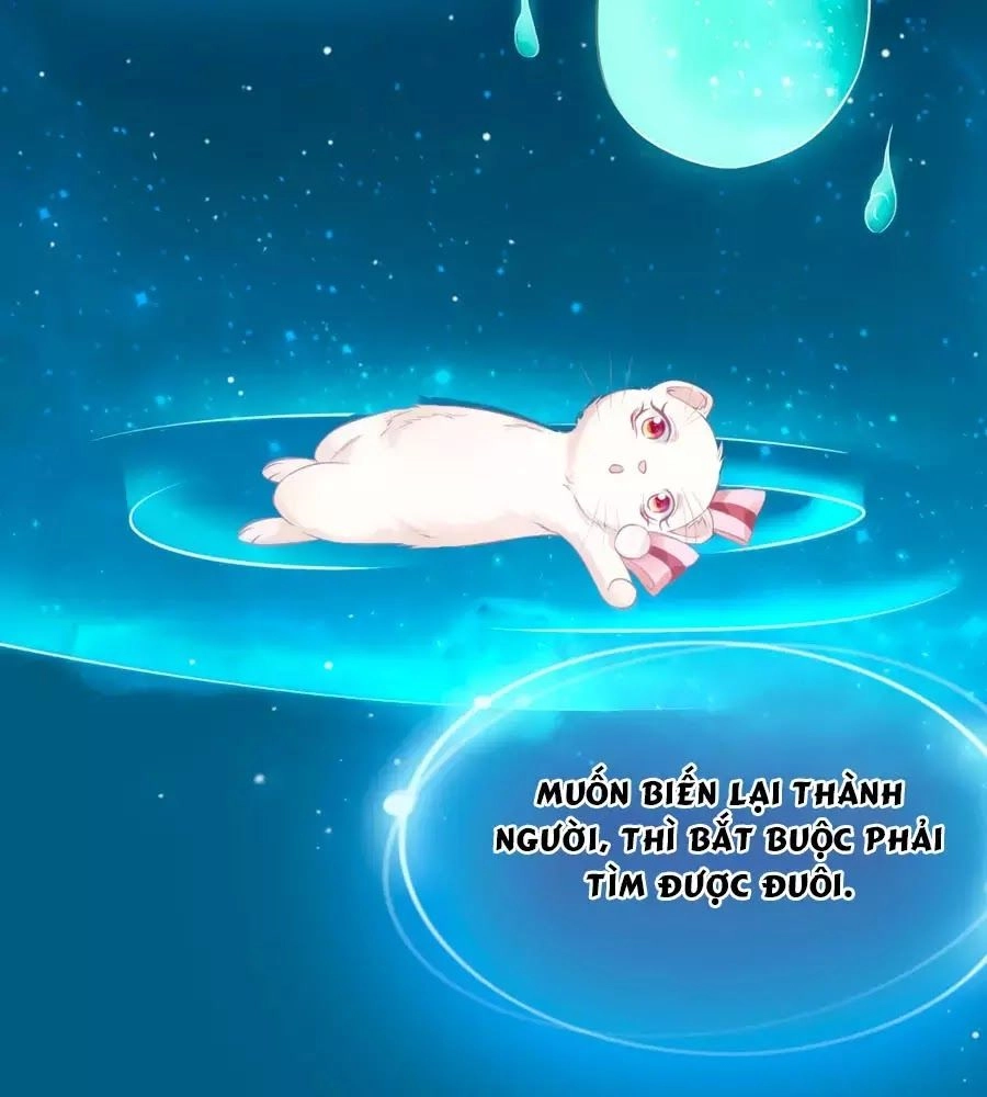 Dưỡng Thú Vi Phi Chapter 4 - 14