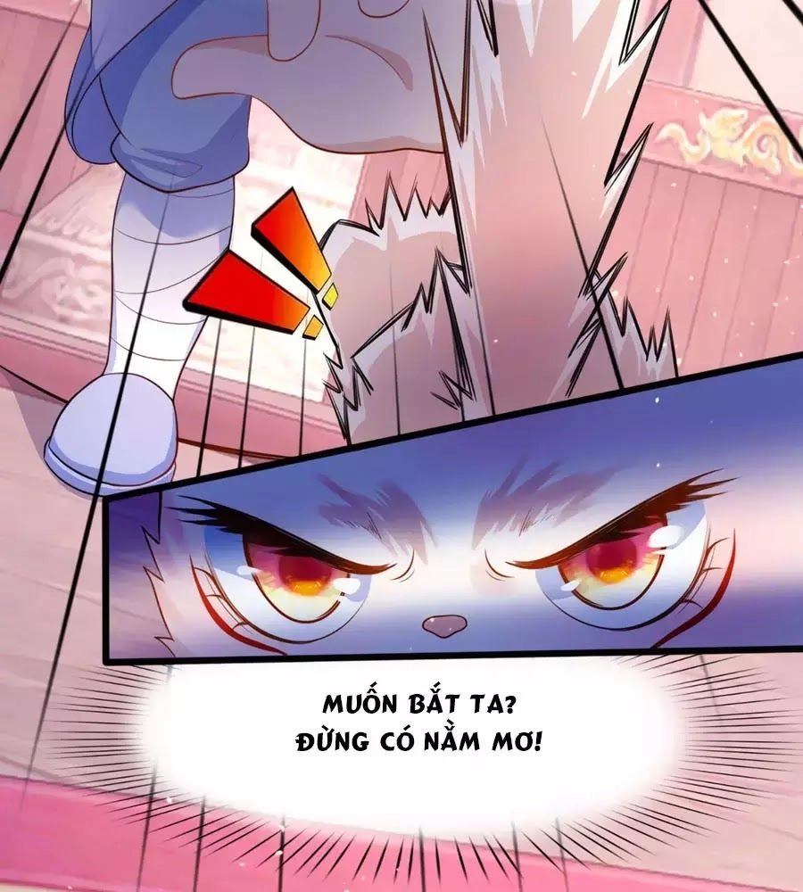 Dưỡng Thú Vi Phi Chapter 4 - 68