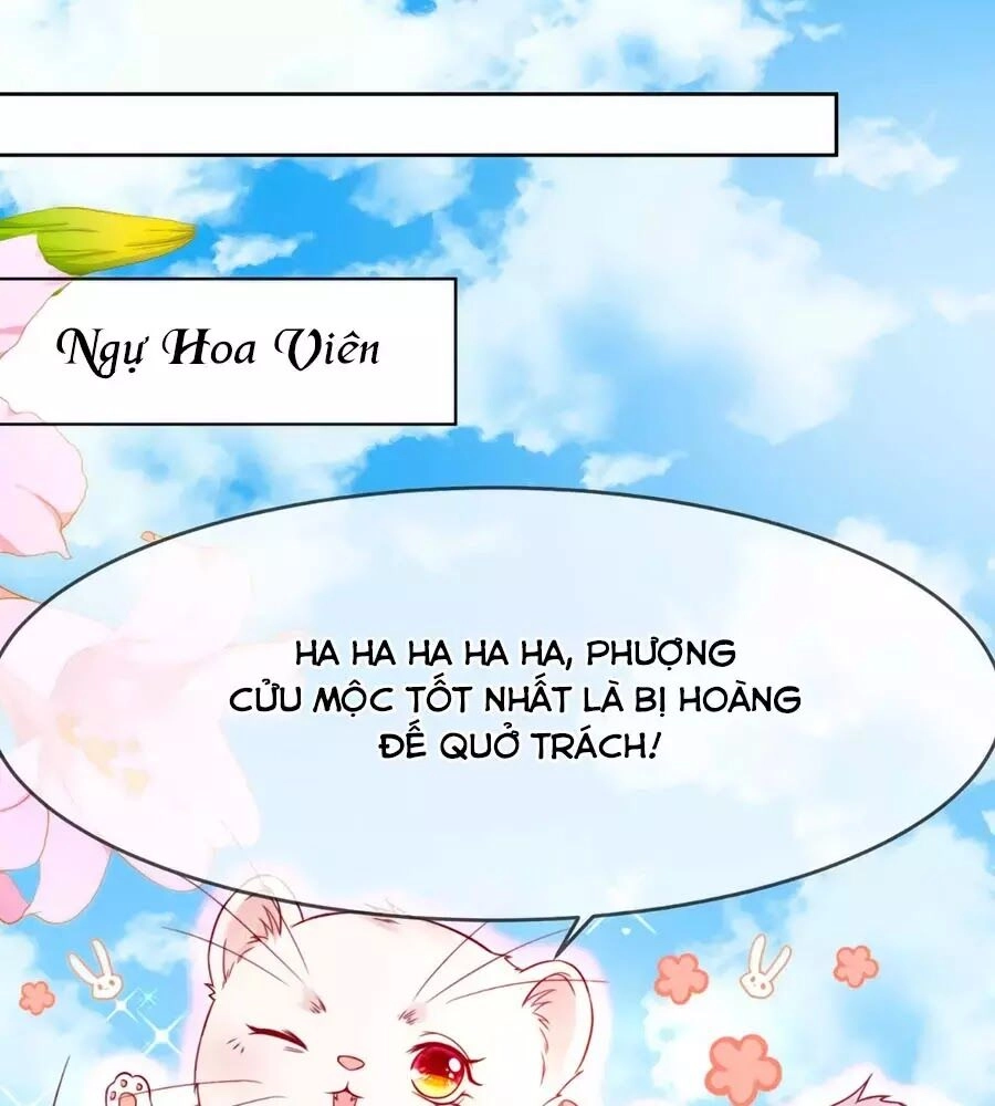 Dưỡng Thú Vi Phi Chapter 5 - 1