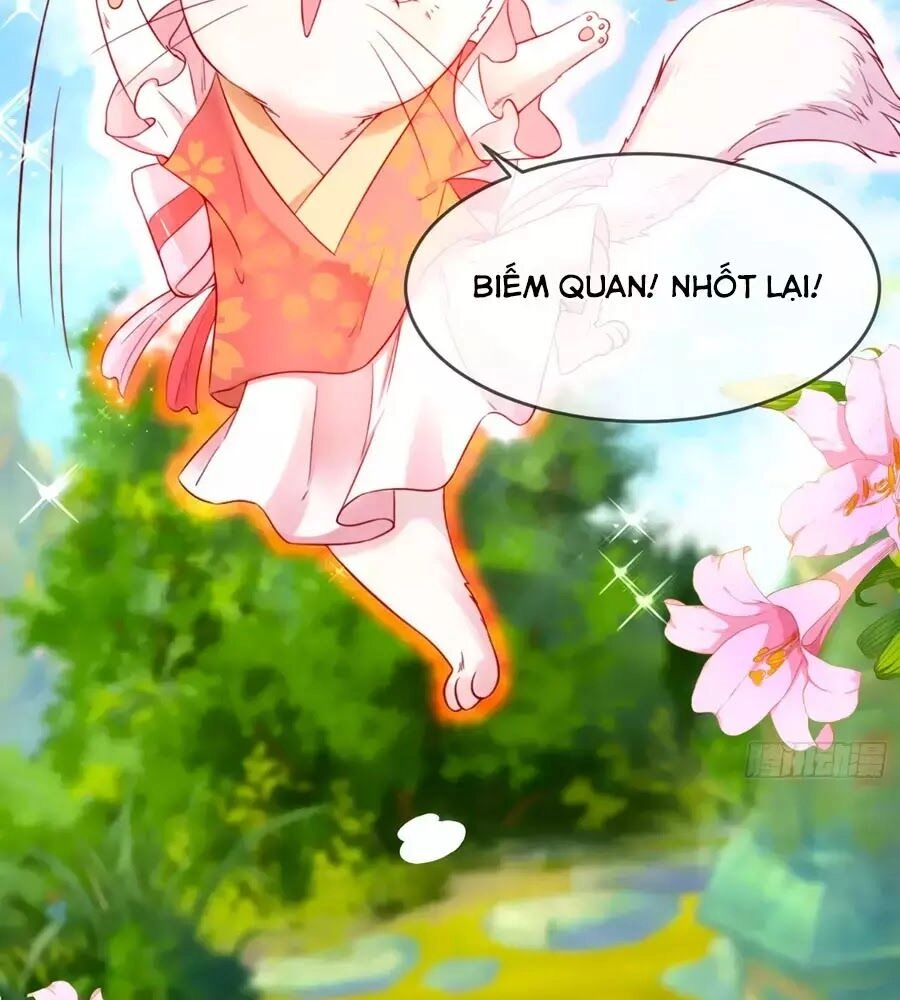 Dưỡng Thú Vi Phi Chapter 5 - 2