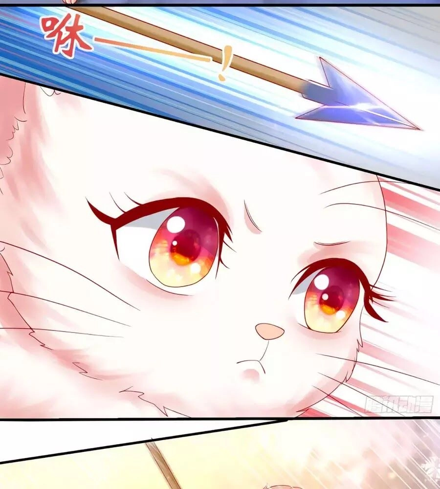 Dưỡng Thú Vi Phi Chapter 5 - 65