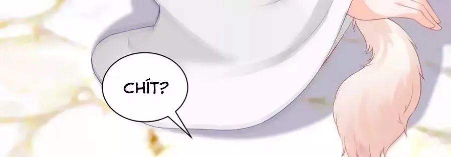 Dưỡng Thú Vi Phi Chapter 5 - 81