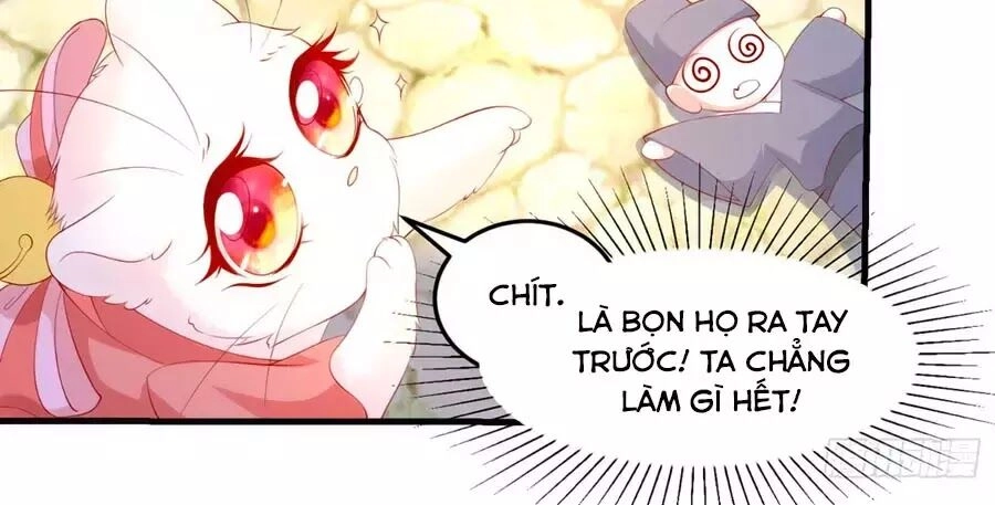 Dưỡng Thú Vi Phi Chapter 5 - 100