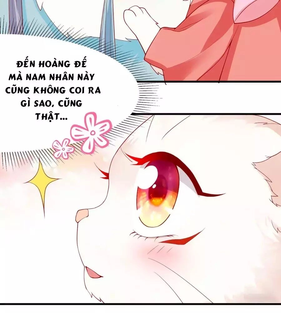 Dưỡng Thú Vi Phi Chapter 5 - 119