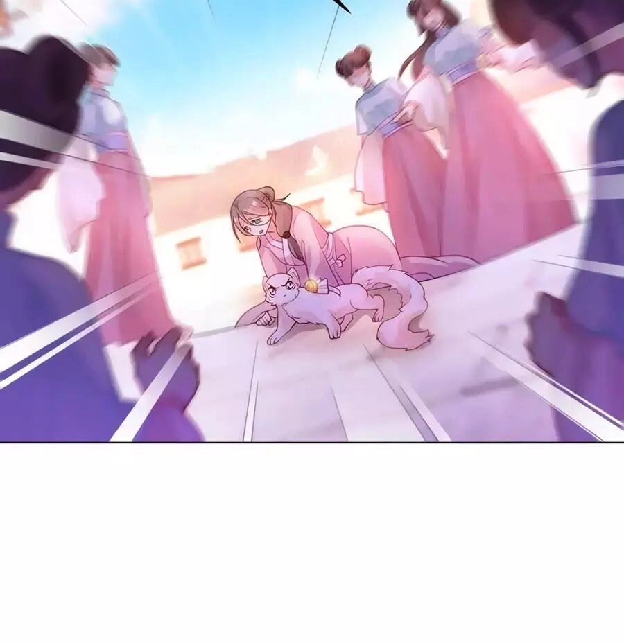 Dưỡng Thú Vi Phi Chapter 7 - 7