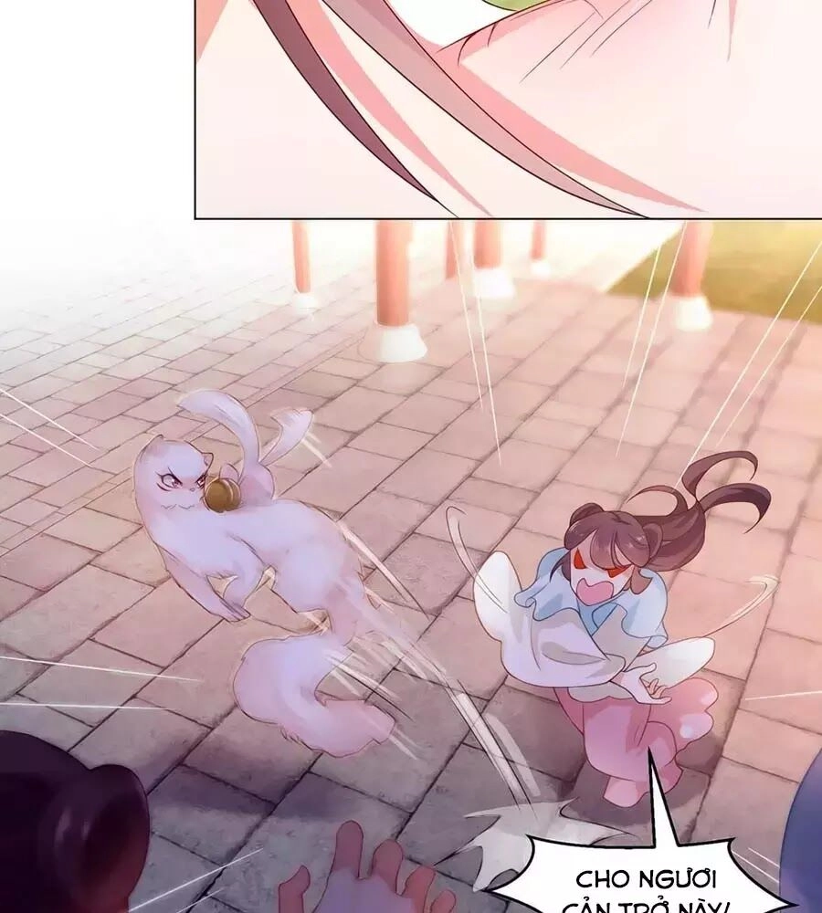 Dưỡng Thú Vi Phi Chapter 7 - 10