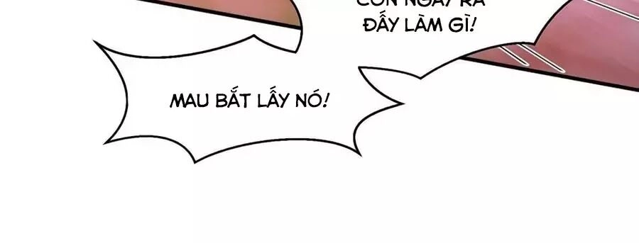 Dưỡng Thú Vi Phi Chapter 7 - 17