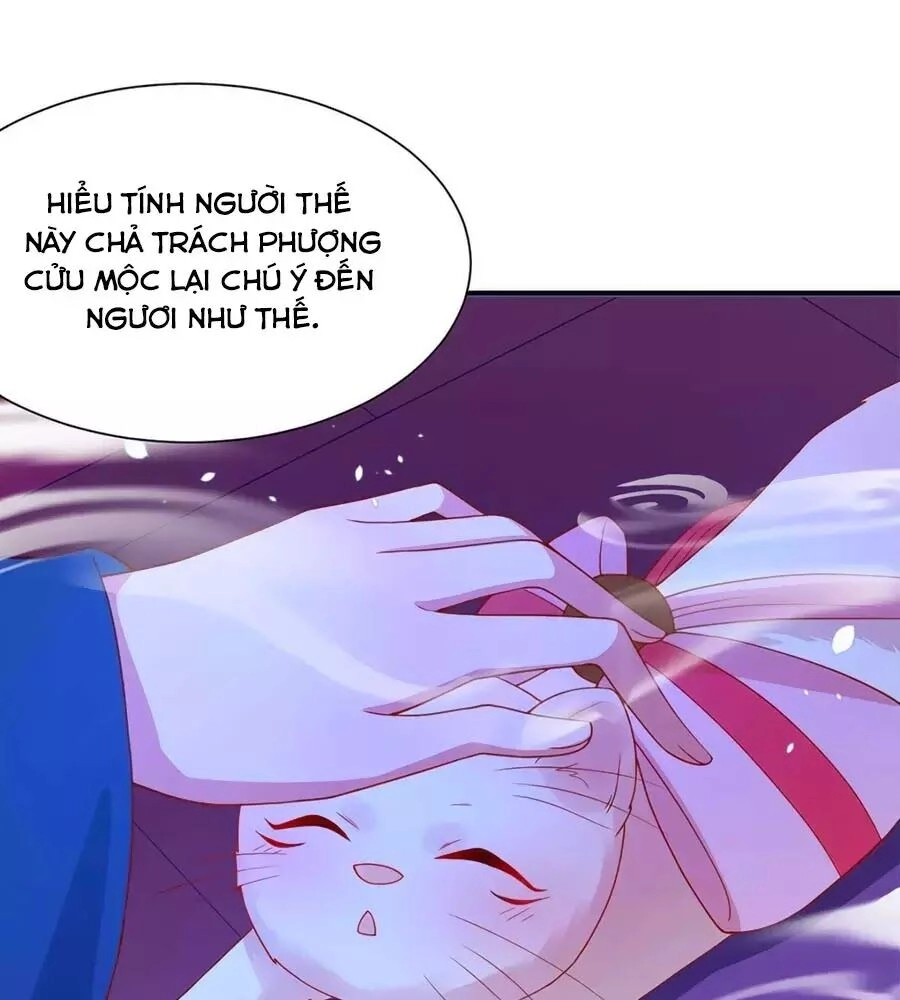 Dưỡng Thú Vi Phi Chapter 8 - 14