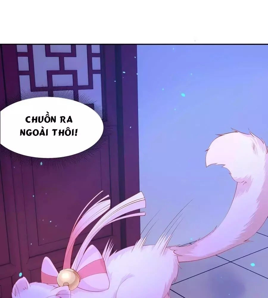 Dưỡng Thú Vi Phi Chapter 8 - 17