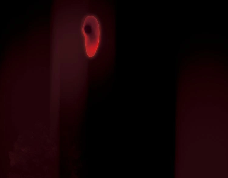 Thiên Chân Hữu Tà Chapter 13 - 44