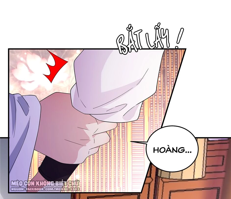 Báo Cáo! Đế Quân Ngài Có Độc! Chapter 20 - 17