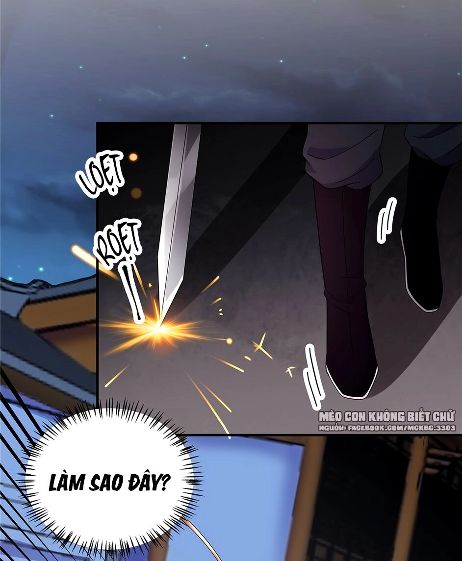 Báo Cáo! Đế Quân Ngài Có Độc! Chapter 23 - 11