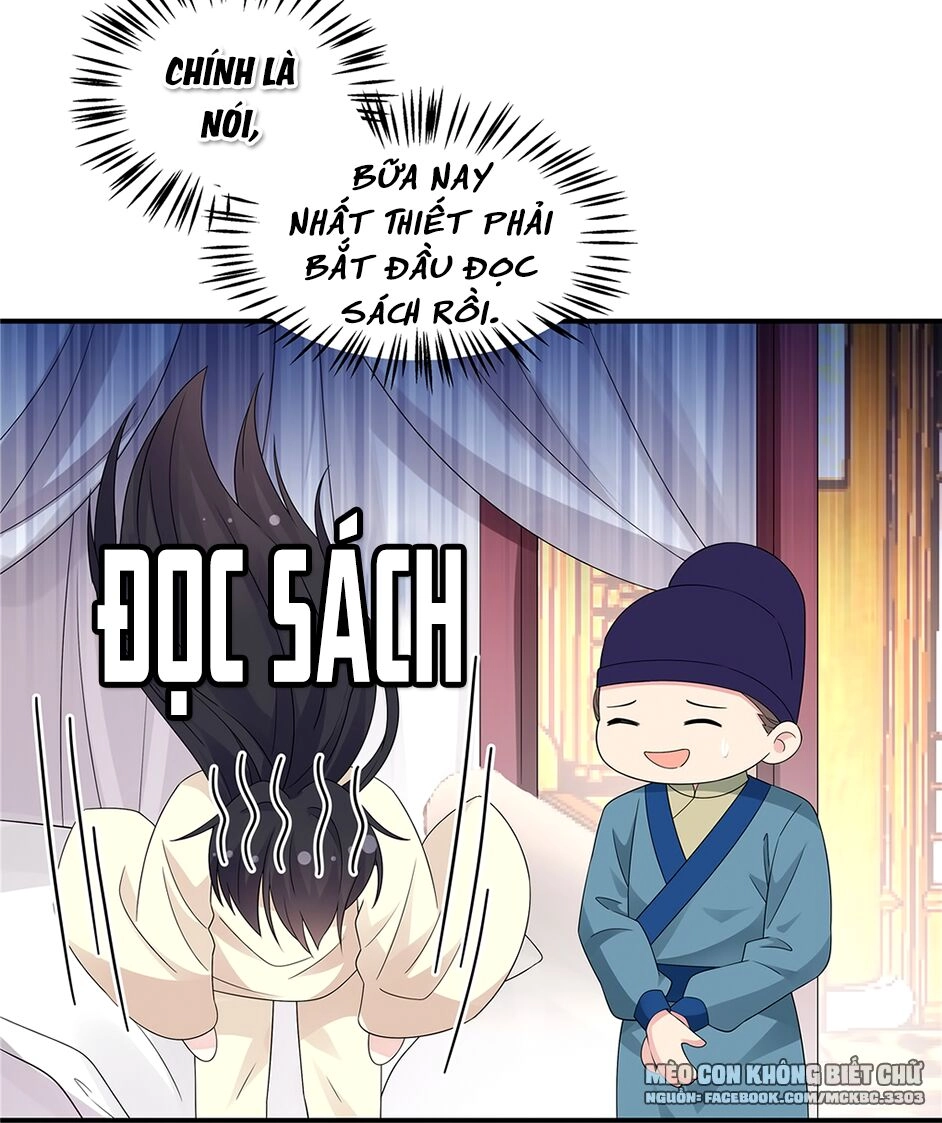 Báo Cáo! Đế Quân Ngài Có Độc! Chapter 26 - 24