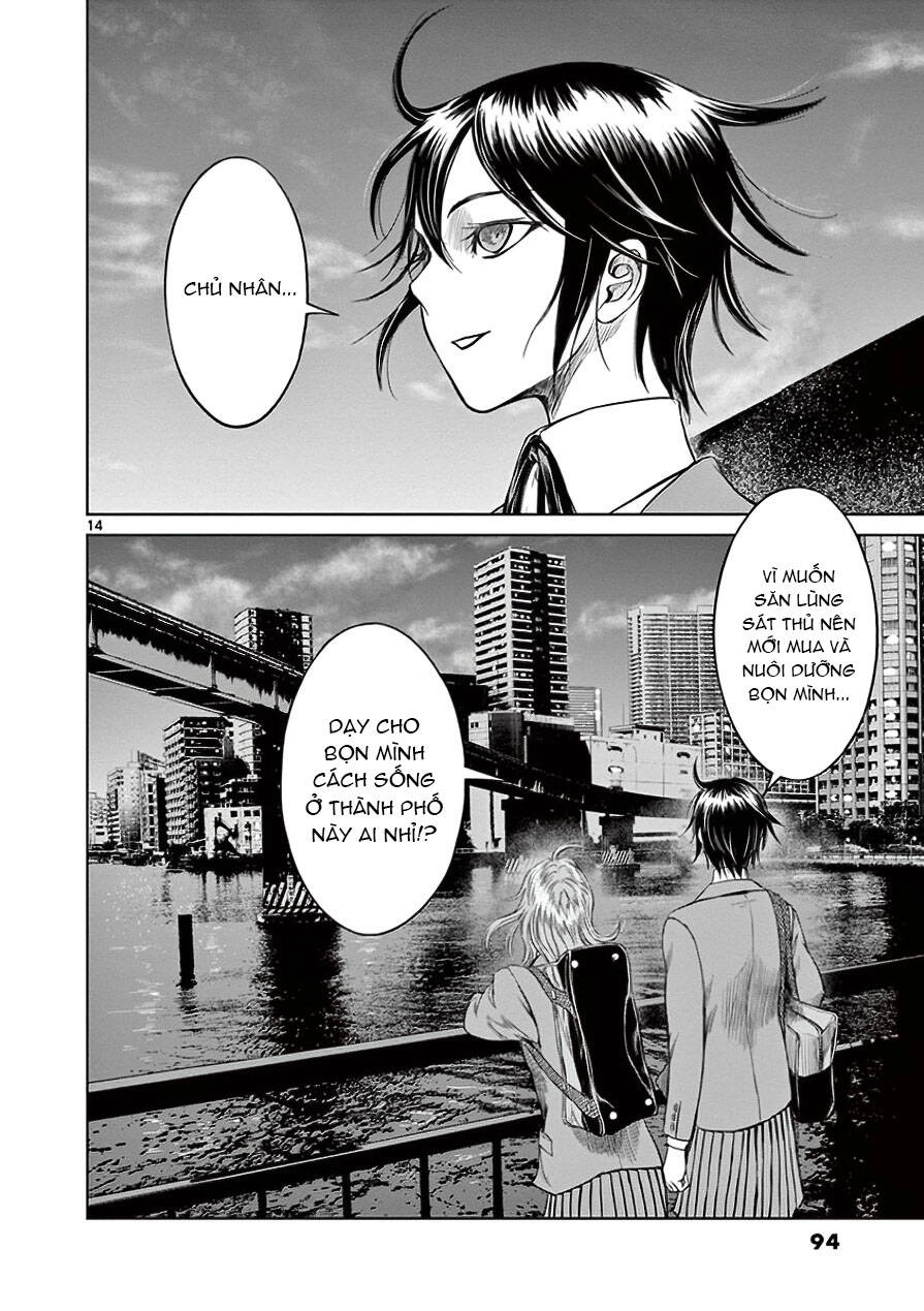 Destro 246 Chapter 31 - 16