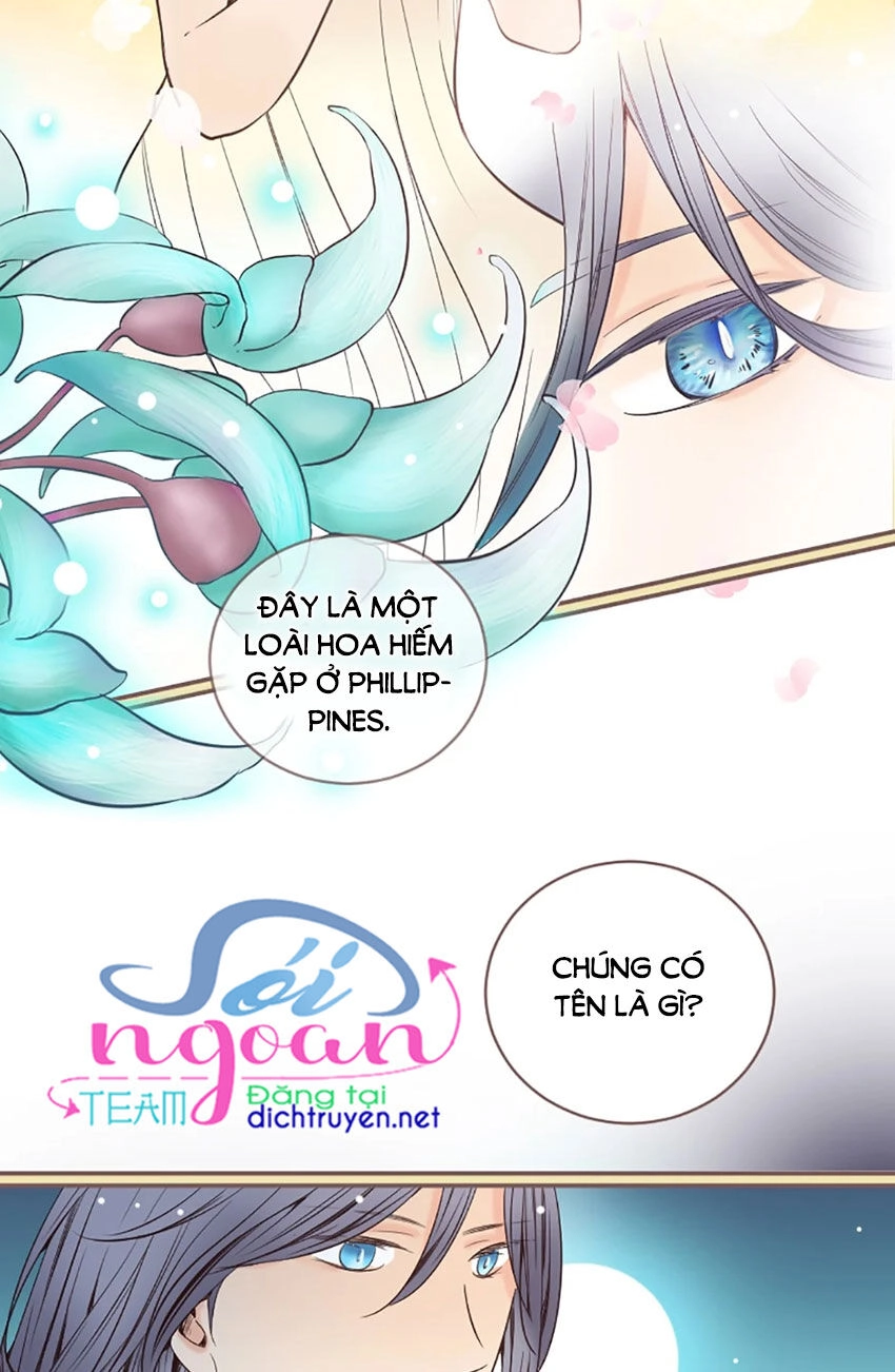 Nàng Persephone Và Chàng Hades Chapter 8 - 49