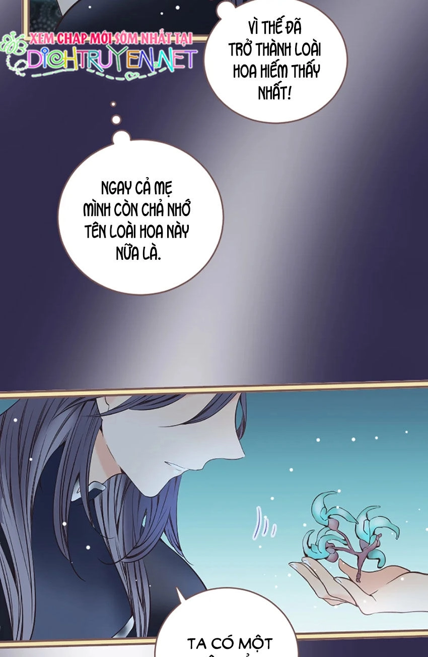 Nàng Persephone Và Chàng Hades Chapter 8 - 51